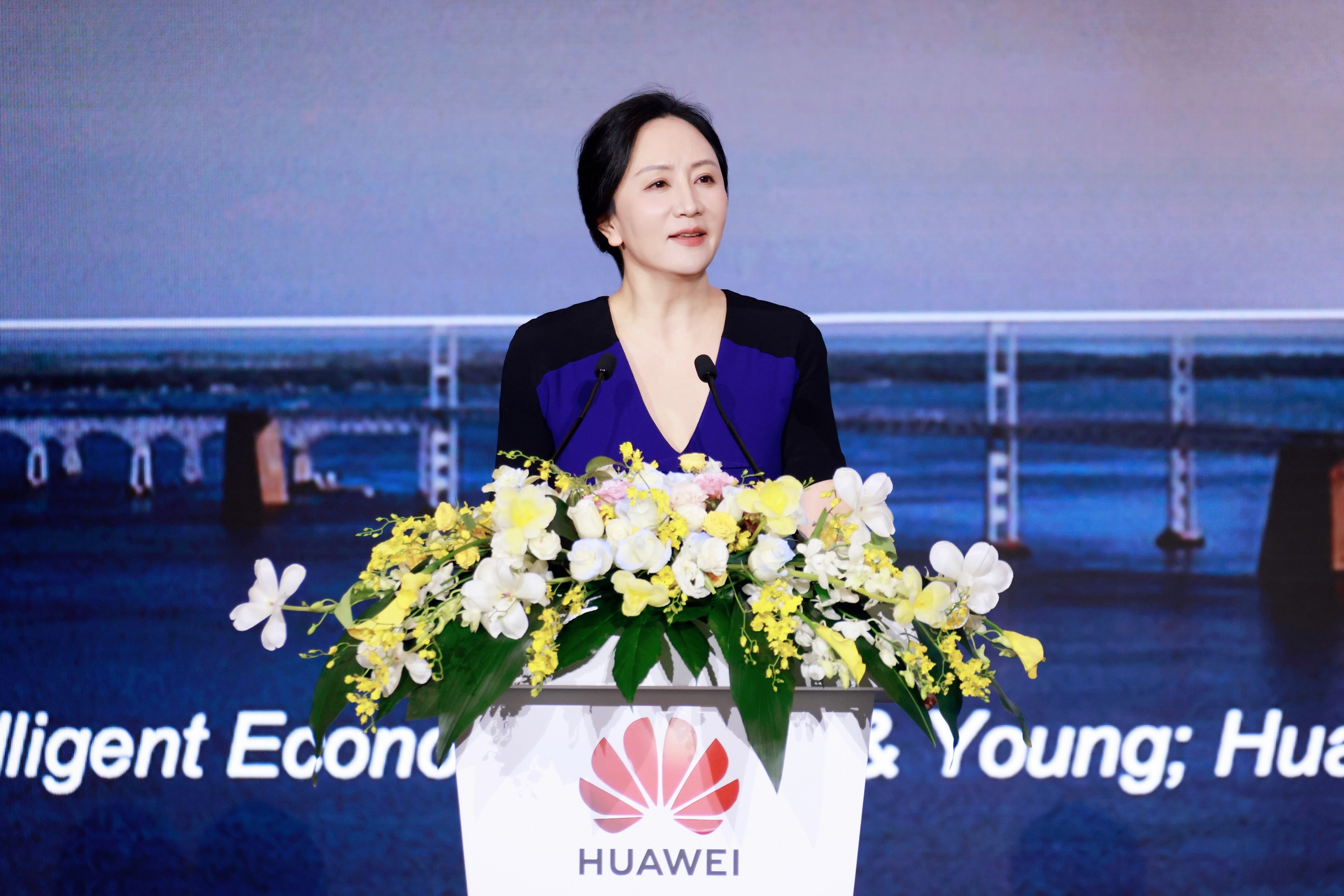 Huawei Sabrina Meng HAS1